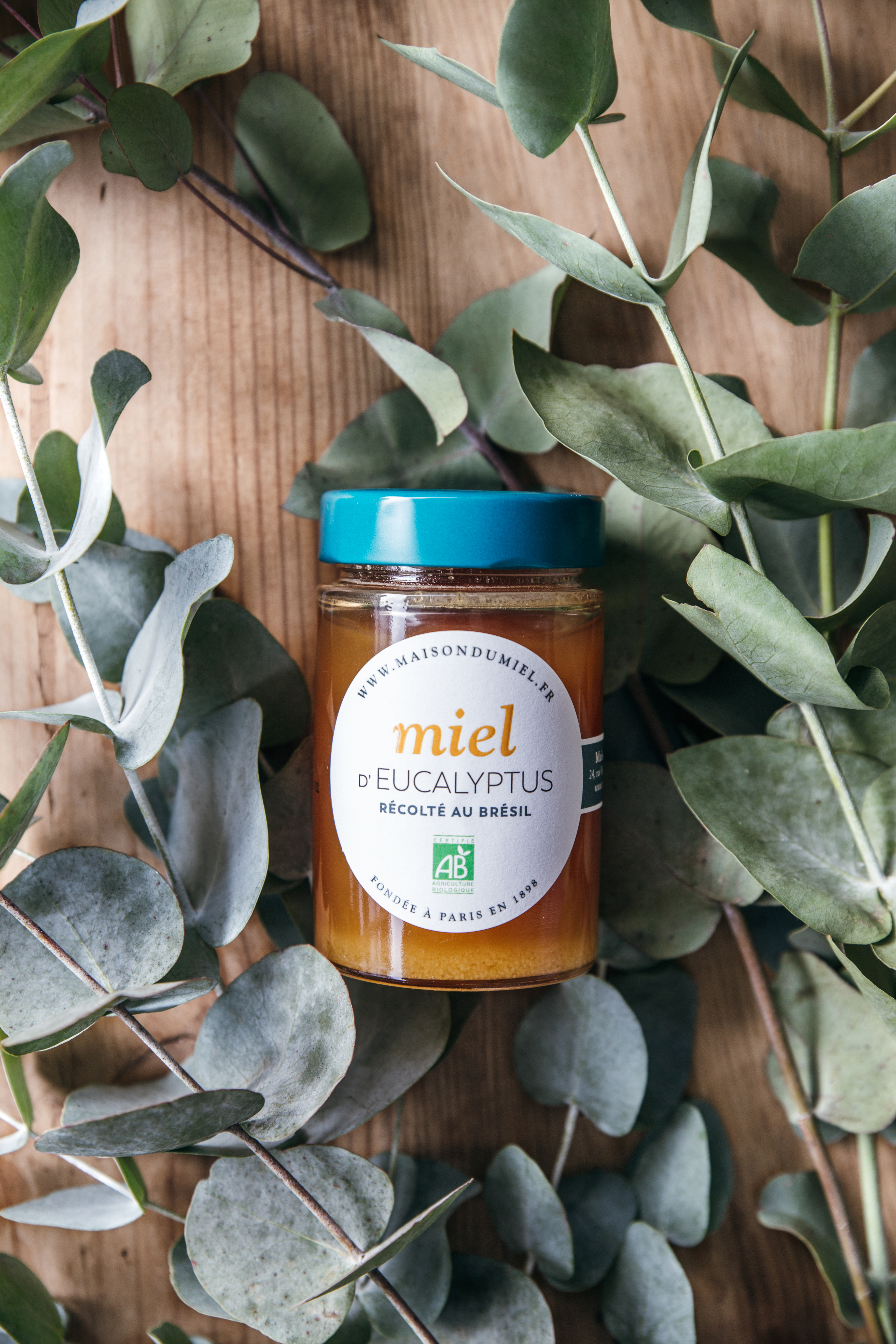 Miel d'Eucalyptus Origine Brésil | La Maison du Miel