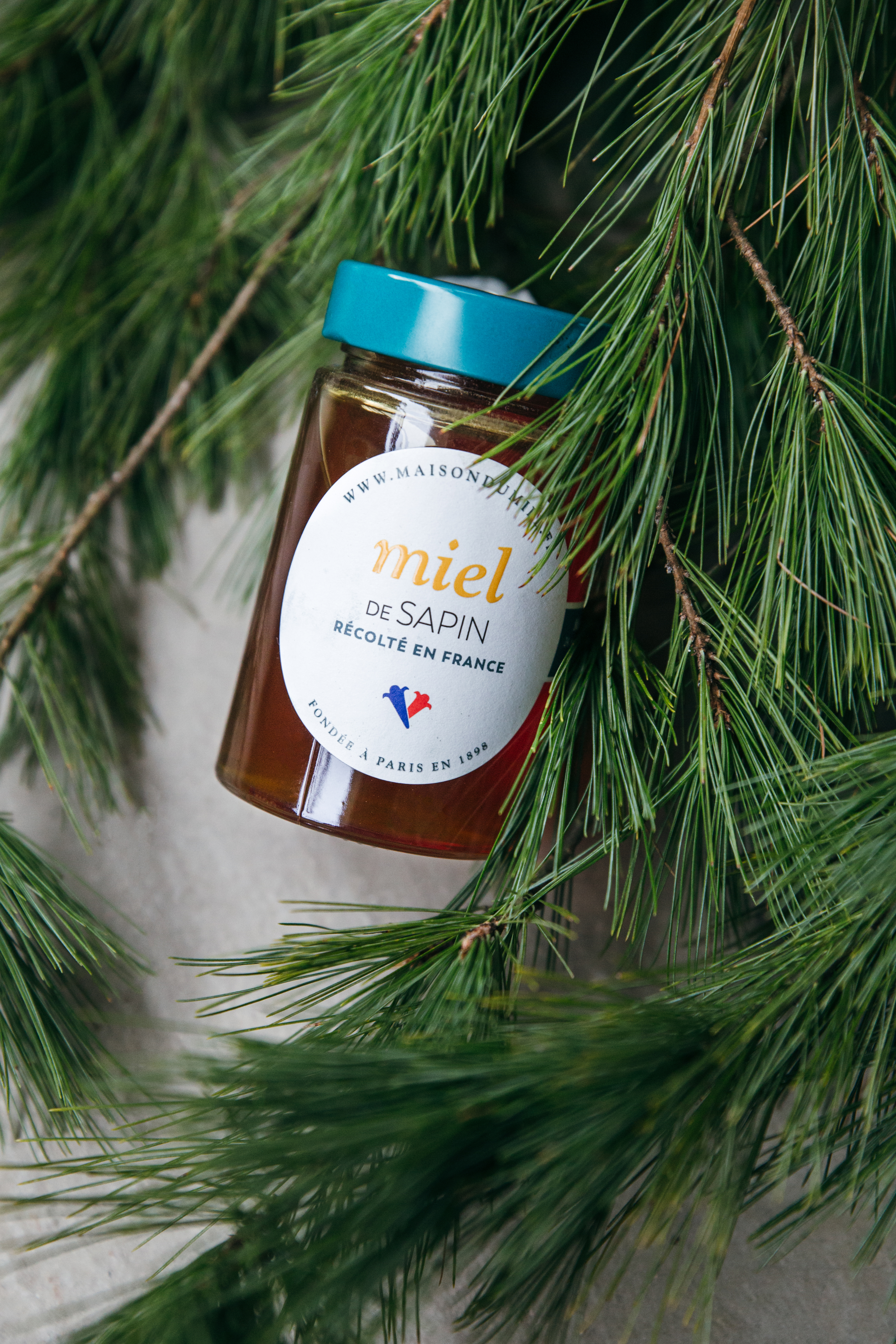 Miel de Sapin Origine France | La Maison du Miel