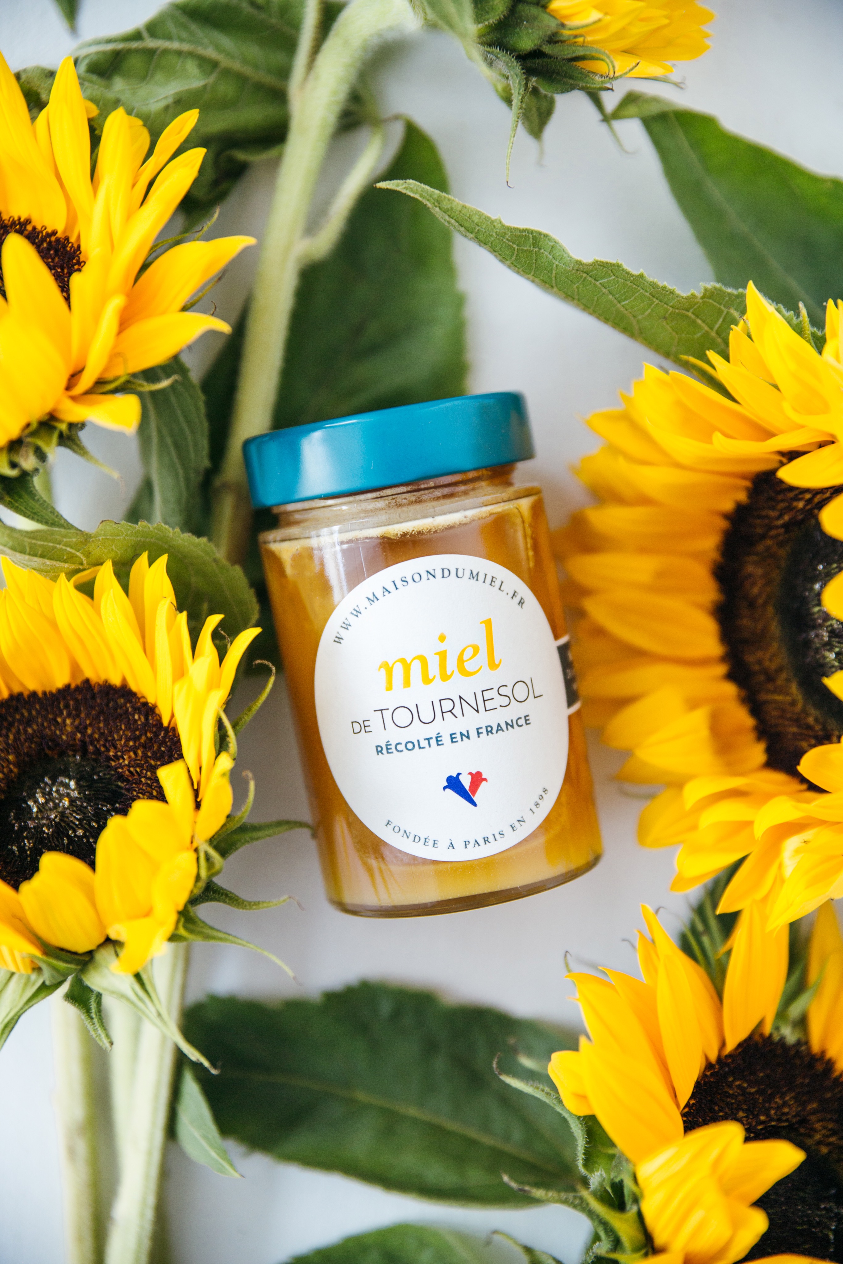 Miel de Tournesol Origine France | La Maison du Miel